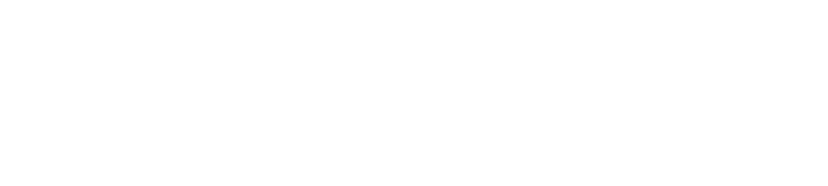 Logo weiß Rimbach